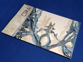 Csikai Márta (Dedikált képzőművészeti album.)
Budapest, 2009. (T-Art Alapítvány - Tisza Nyomda Kft....