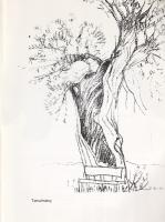 Csikai Márta (Dedikált képzőművészeti album.)
Budapest, 2009. (T-Art Alapítvány - Tisza Nyomda Kft....