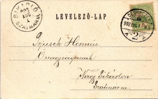 1902 Debrecen, Hunyady (Hunyadi) utca. Pongrácz Géza kiadása, Kiss Ferenc fényképe után (fl)