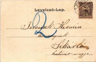 1902 Debrecen, Piac utca, Biedermann E. és Fia üzlete, Phönix Biztosító Társaság fiókja. Pongrácz Gé...