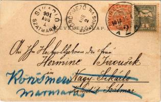 1901 Nyíregyháza, látkép. Piringer János kiadása (vágott / cut)