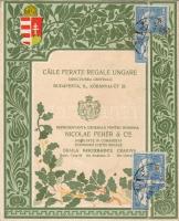 1910 MÁV romániai képviselete színes litho reklámnyomtatvány / Ungarische Staatseisenbahnen-Vertretu...