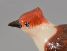 Herendi Vörösfejű gébics, Kézzel festett. jelzett, hibátlan. 14x18 cm