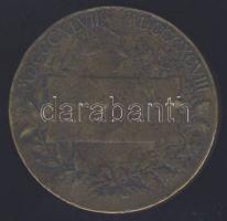 1898. Jubileumi Emlékérem a Fegyveres Erő Számára "Signum memoriae" Br érem T:2 pici ph, f...