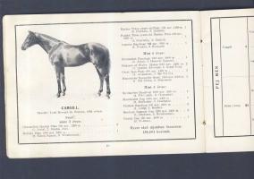 1914 A Kisbéri királyi ménes 1914 34 oldalas árverési katalógusa az elárverezendő lovak képével, nye...