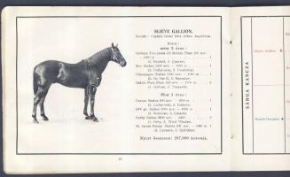 1914 A Kisbéri királyi ménes 1914 34 oldalas árverési katalógusa az elárverezendő lovak képével, nye...