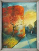 Benkő T. Sándor (1952-): Sétány (Budai vár). Olaj, vászon, jelzett. Hátoldalán a művész bélyegzőjével. Fakeretben. 40×30 cm