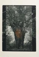 Tassy Béla (1942-): Öreg fa II. Színes rézkarc, papír, jelzett, számozott (5/25), hátoldalán Actual Art Galéria bélyegzésével, lap széle vágott és apró elszíneződésekkel, 40x29,5 cm