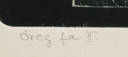 Tassy Béla (1942-): Öreg fa II. Színes rézkarc, papír, jelzett, számozott (5/25), hátoldalán Actual ...