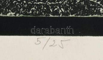 Tassy Béla (1942-): Öreg fa II. Színes rézkarc, papír, jelzett, számozott (5/25), hátoldalán Actual ...