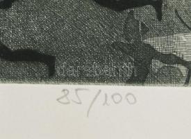 Tassy Béla (1942-): Történet. Színes rézkarc, papír, jelzett, számozott (85/100), hátoldalán Actual ...