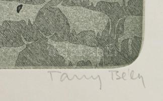 Tassy Béla (1942-): Történet. Színes rézkarc, papír, jelzett, számozott (85/100), hátoldalán Actual ...