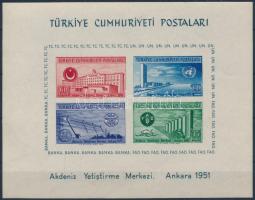 Törökország 1952 Mi blokk 4 ritka (Mi EUR 120.-)