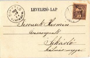 1902 Debrecen, Csokonai szobor. Pongrácz Géza kiadása, Kiss Ferenc eredeti fényképe után