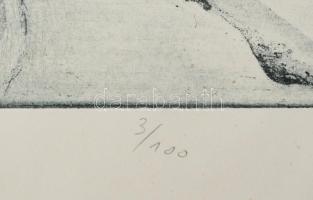 Kéri Imre (1945- ): Tél, rézkarc, papír, jelzett, számozott (3/100), lapszéli apró elszíneződésekkel...