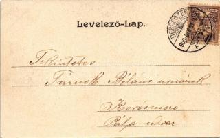 1900 Debrecen, Nagyerdői részlet. Pongrácz Géza kiadása, Kiss Ferenc eredeti fényképe után