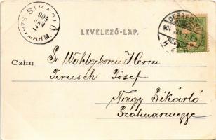 1904 Debrecen, Városháza, Zádor Lajos üzlete, piac. Mihály Sámuel kiadása (EK)