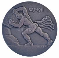 Beck Ötvös Fülöp (1873-1945) 1911. "Báró Müller Kálmán Professor Kórházigazgatónak - Munkatársa...