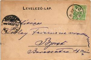 1906 Vönöck, Karácsony (később Pfeiffer) kastély. Steegmüller Arthur fényképész (felületi sérülés / ...