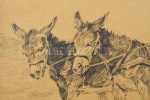 Benyovszky István (1898-1969): Öszvérfogat kutyával, 1920-as évek. Ceruza, papír, jelzett, fakeretbe...