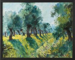 Gy. Riba János (1905-1973): Virágzó táj. Olaj, karton, jelezve jobbra lent, fakeretben. 30x38 cm