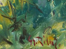 Gy. Riba János (1905-1973): Virágzó táj. Olaj, karton, jelezve jobbra lent, fakeretben. 30x38 cm