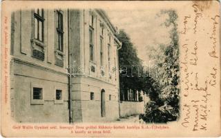 1902 Sátoraljaújhely, Gróf Wallis Gyuláné (Somogyi Ilona grófnő) Rákóczi korabeli kastélya az utca f...