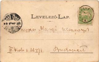 1902 Sátoraljaújhely, Gróf Wallis Gyuláné (Somogyi Ilona grófnő) Rákóczi korabeli kastélya az utca f...