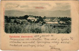 1901 Zsolna, Zilina; Sóház-telep, látkép / view (Rb)