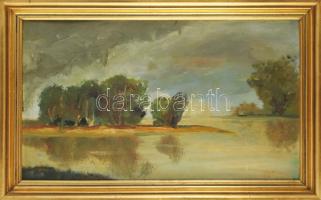 Jelzés nélkül (Somogyi Nagy?): Öreg fák. Olaj, fa, hátoldalán Művész Műtárgykereskedelmi Kft. raglapján feliratozott, fakeretben, 32,5×56 cm