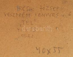 Ircsik József (1932-1986): Tél. Olaj, farost, jelzett. Hátoldalán autográf felirattal. Fakeretben, 4...