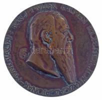 Beck Ötvös Fülöp (1873-1945) 1911. "Báró Müller Kálmán Professor Kórházigazgatónak - Munkatársa...