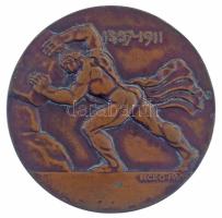 Beck Ötvös Fülöp (1873-1945) 1911. "Báró Müller Kálmán Professor Kórházigazgatónak - Munkatársa...