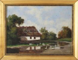 Olvashatatlan jelzéssel: Libák. Olaj, karton. Dekoratív fakeretben, 25×35 cm