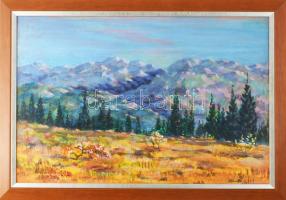 Kallai Sándor (1940?-2024): Oszobita-hágó (Tátra, Szlovákia). Akril, karton. Jelzett. Fakeretben, 33×50 cm