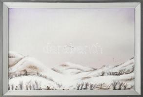 Kollányi András (-): Hómadár. Olaj, farost. Jelzett. Fakeretben, 41×61 cm