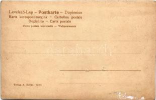 Wien, Vienna, Bécs; Oper / opera house, tram (b)