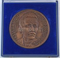 Várady Lajos (1911-1998) 1983. "Keleti Károly 1833-1892 - Születésének 150. évfordulójára - Központi Statisztikai Hivatal 1983" egyoldalas, öntött bronz plakett, eredeti tokban (130mm) T:AU