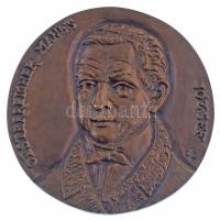 Cséri Lajos (1928-2020) DN "Oesterreicher Manes József" egyoldalas, öntött bronz emlékplak...