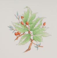 Herendi hecsedli mintás ovális kínálótál. Jelzett, 2. oszt. hibátlan, 36x27 cm