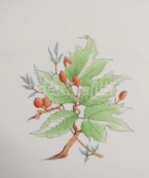 Herendi hecsedli mintás ovális kínálótál. Jelzett, 2. oszt. hibátlan, 36x27 cm