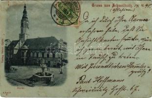 1898 Swidnica, Schweidnitz; Markt / market square, town hall, fountain. Verlag Heinr. Opitz (EB)