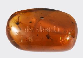 Borostyán, benne szúnyog, h: 4 cm