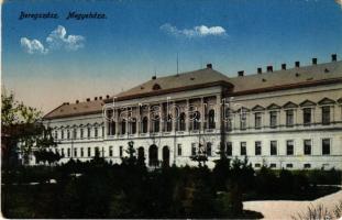 Beregszász, Beregovo, Berehove; megyeháza. Friedmann Moritz kiadása / county hall