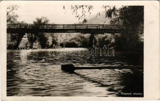 Máramarossziget, Sighetu Marmatiei; Iza parti részlet, folyó, híd / river, bridge