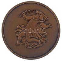 DN "Ady Endre 1877-1919" kétoldalas bronz emlékérem (60mm) T:AU,XF karc, ph