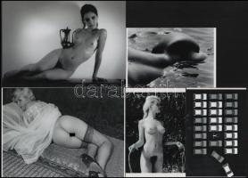 Szolidan erotikus felvételek, eltérő idő és változó helyszín, 5 db modern nagyítás, jelzés nélkül, 15x24 cm és 10x15 cm