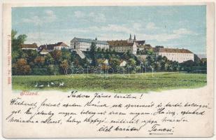 1906 Illava, Illau, Ilava; fegyház, börtön. F. Simicsek kiadása / prison (ázott / wet damage)