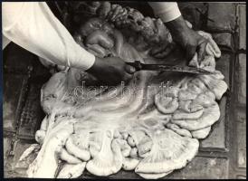 cca 1960 Vágóhídi belsőségek, 1 db vintage fotó, ezüst zselatinos fotópapíron, jelzés nélkül, 17x23 cm