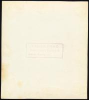 cca 1938 Vadas Ernő (1899-1962) budapesti fotóművész és fotóriporter hagyatékából 1 db vintage fotó,...